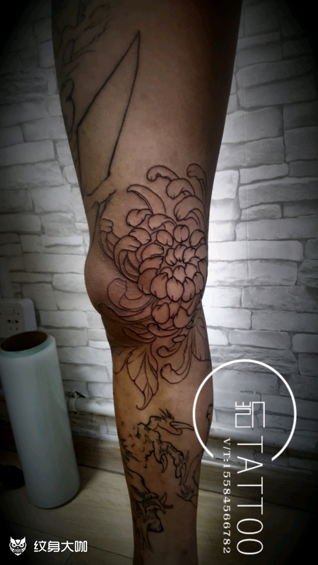 花腿 内侧 菊花~未完!_纹身图案手稿图片_潘凯的纹身作品集