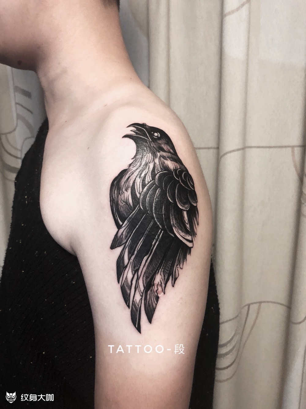 乌鸦(遮盖)_纹身图案手稿图片_d的纹身作品集