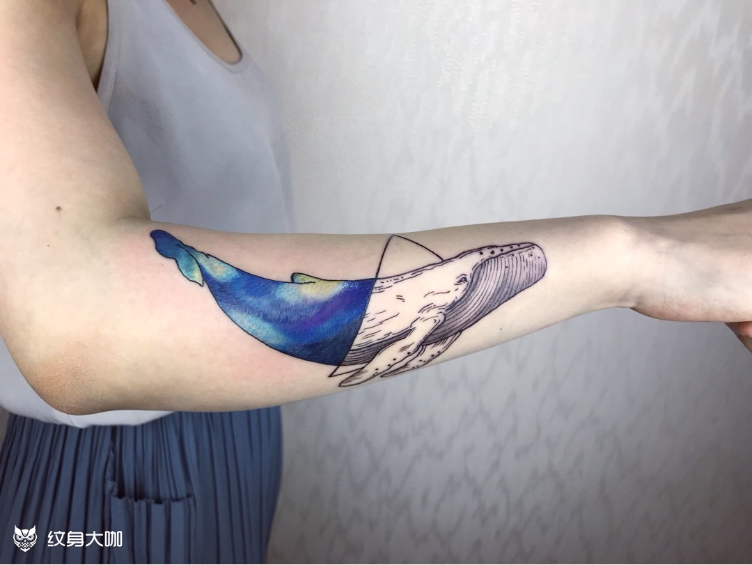 梵高星空鲸鱼_纹身图案手稿图片_小明的纹身作品集