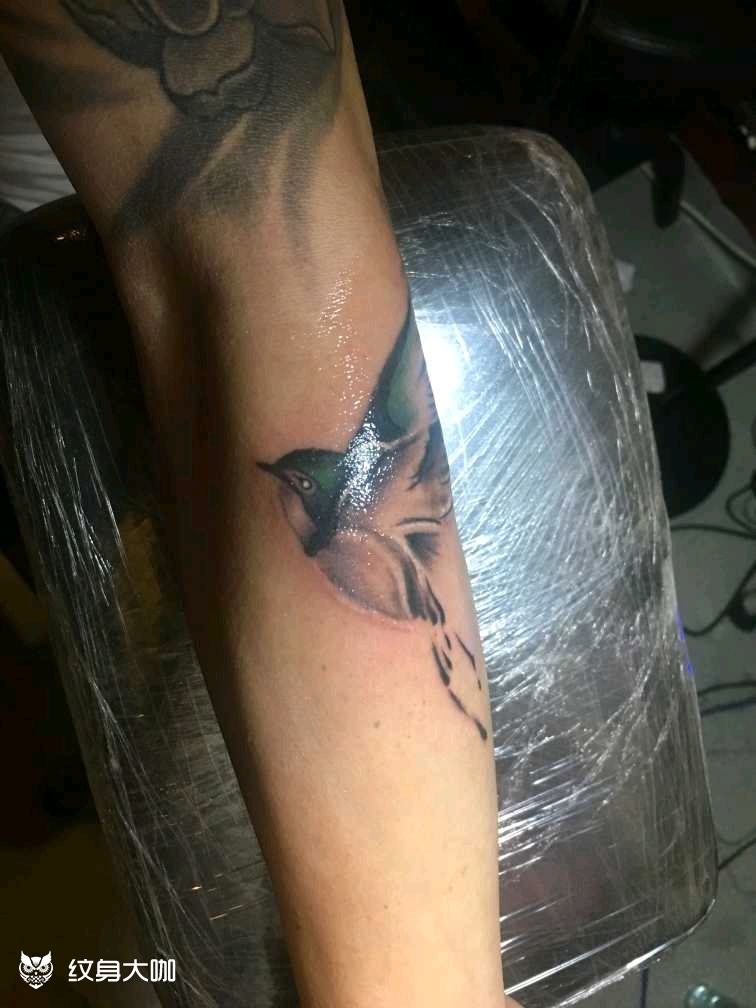 无脚鸟_纹身图案手稿图片_南轩的纹身作品集