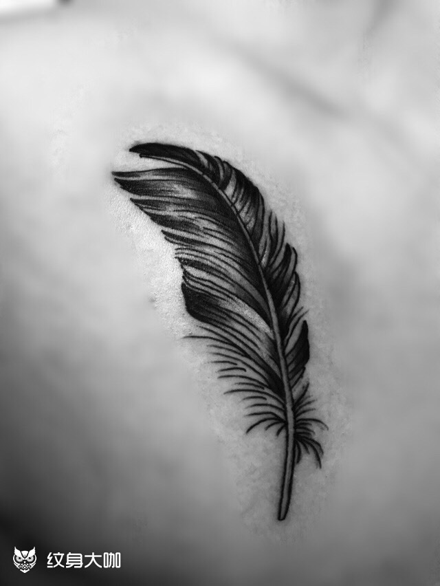 羽毛_纹身图案手稿图片_王磊的纹身作品集