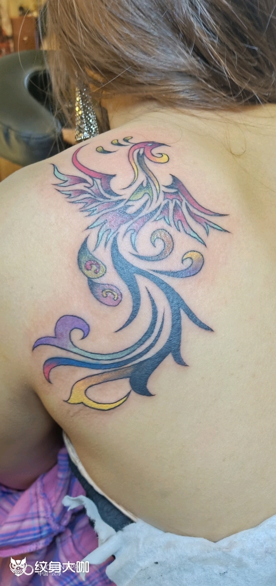 彩色图腾凤凰_纹身图案手稿图片_肖丰的纹身作品集