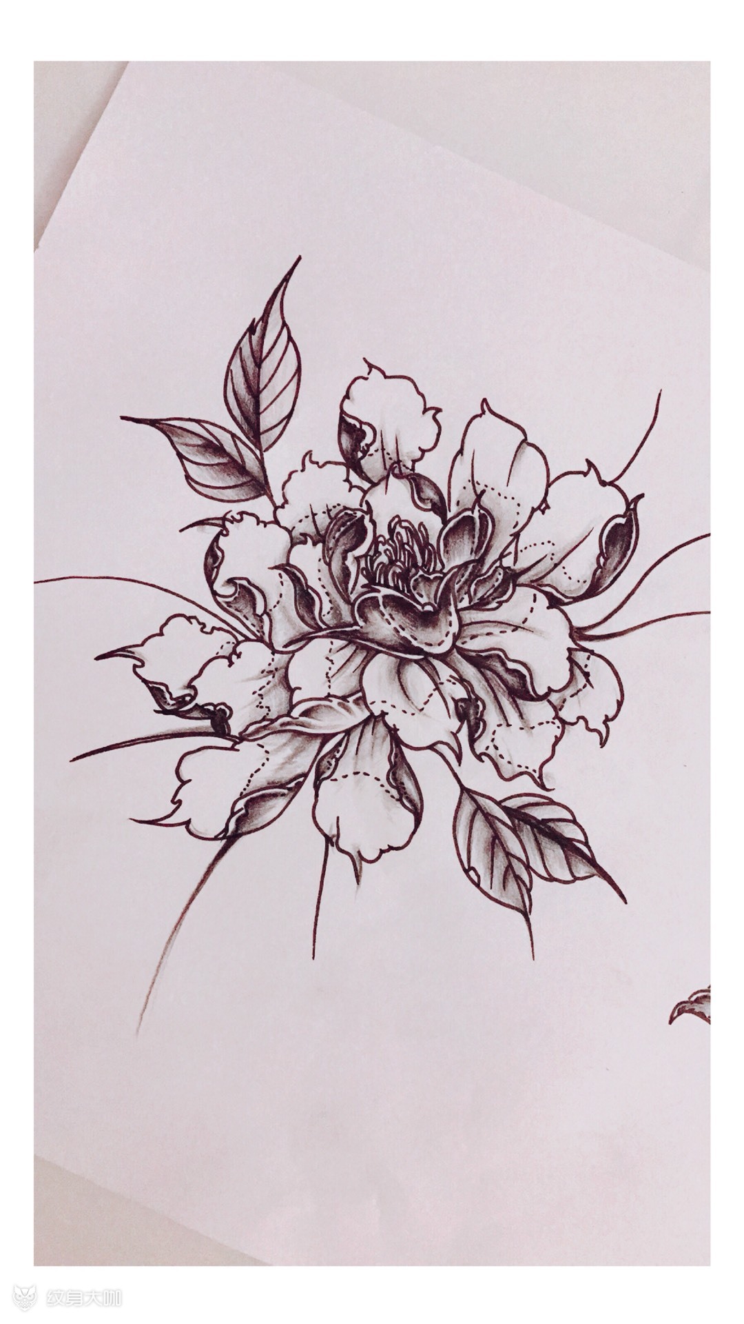 牡丹_纹身图案手稿图片_nana.的纹身作品集