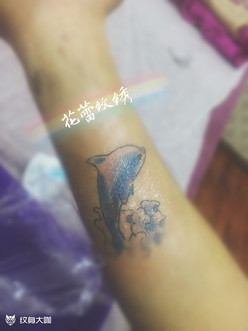 小图海豚_纹身图案手稿图片_韩昀希的纹身作品集