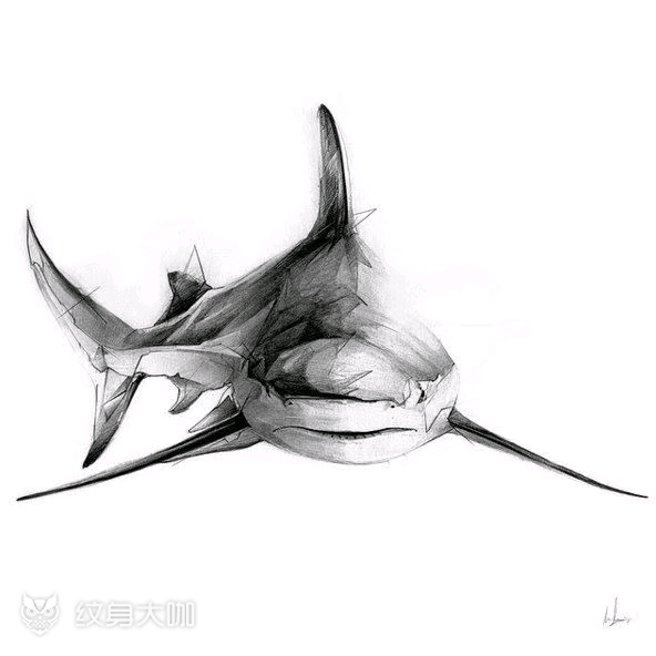 喜欢的可约鲸鱼