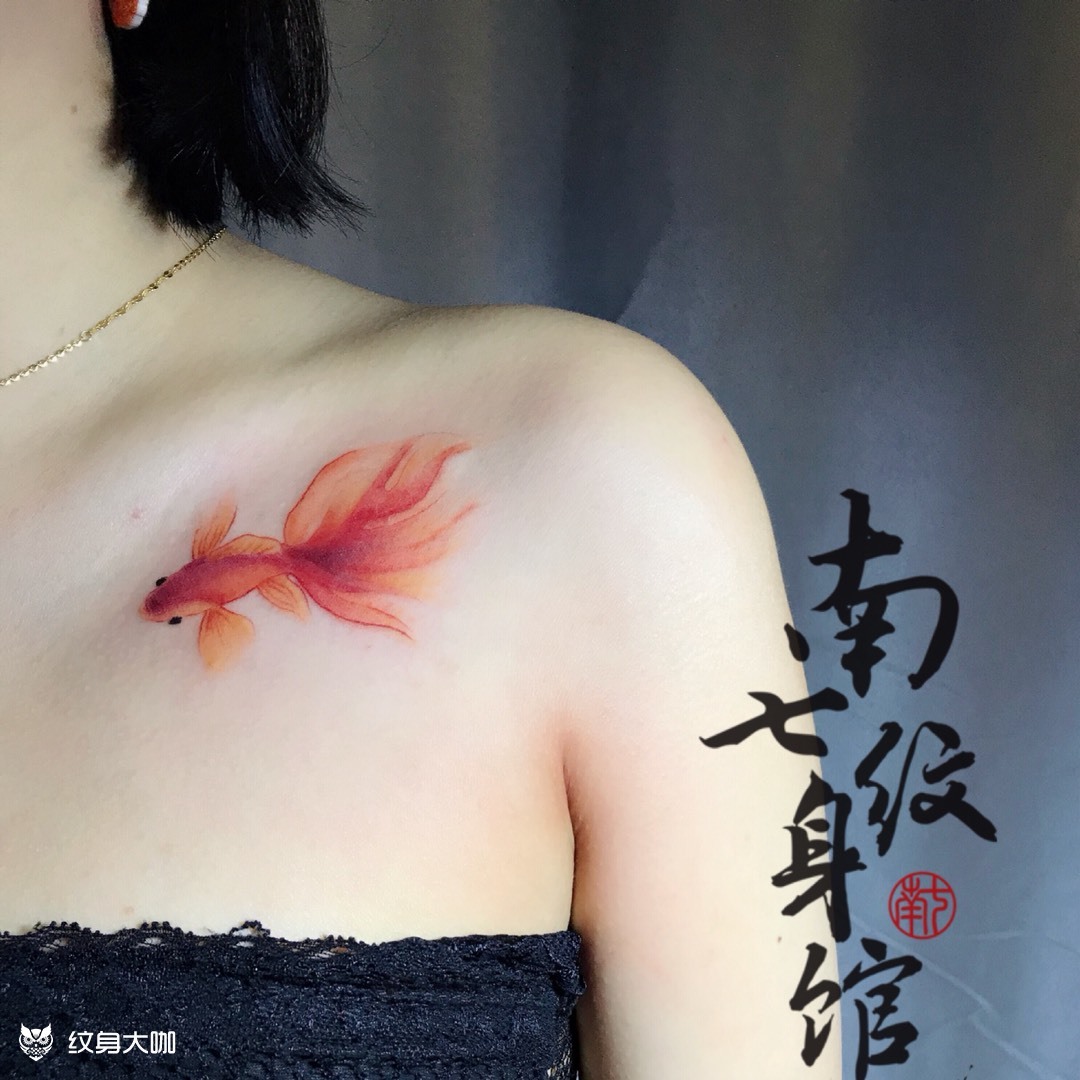 水彩小金鱼_纹身图案手稿图片_周维的纹身作品集