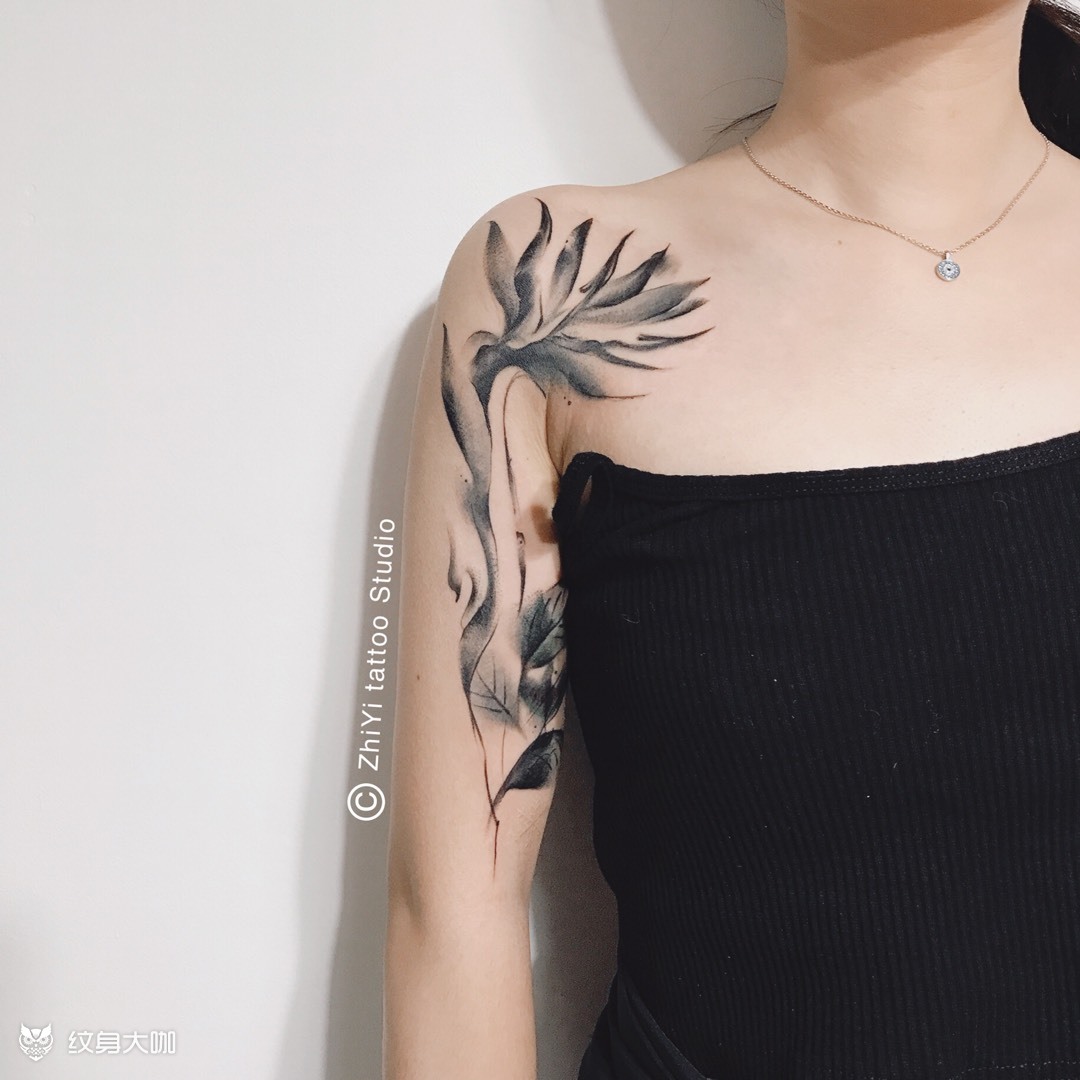 水墨天堂鸟_纹身图案手稿图片_祎祎的纹身作品集