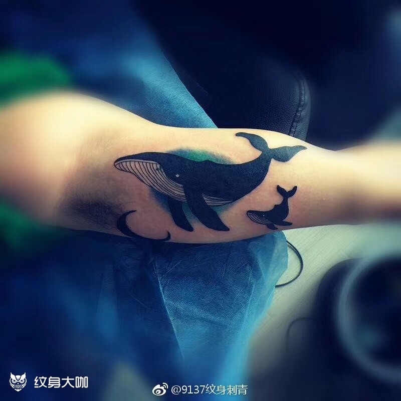 鲸鱼_纹身图案手稿图片_成虎的纹身作品集