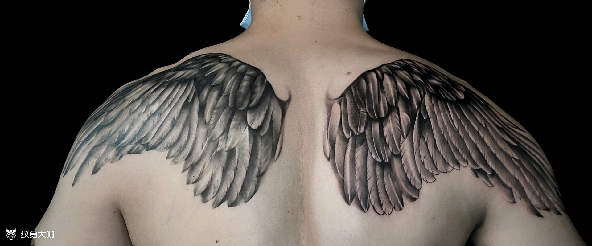 写实翅膀_纹身图案手稿图片_张伟的纹身作品集