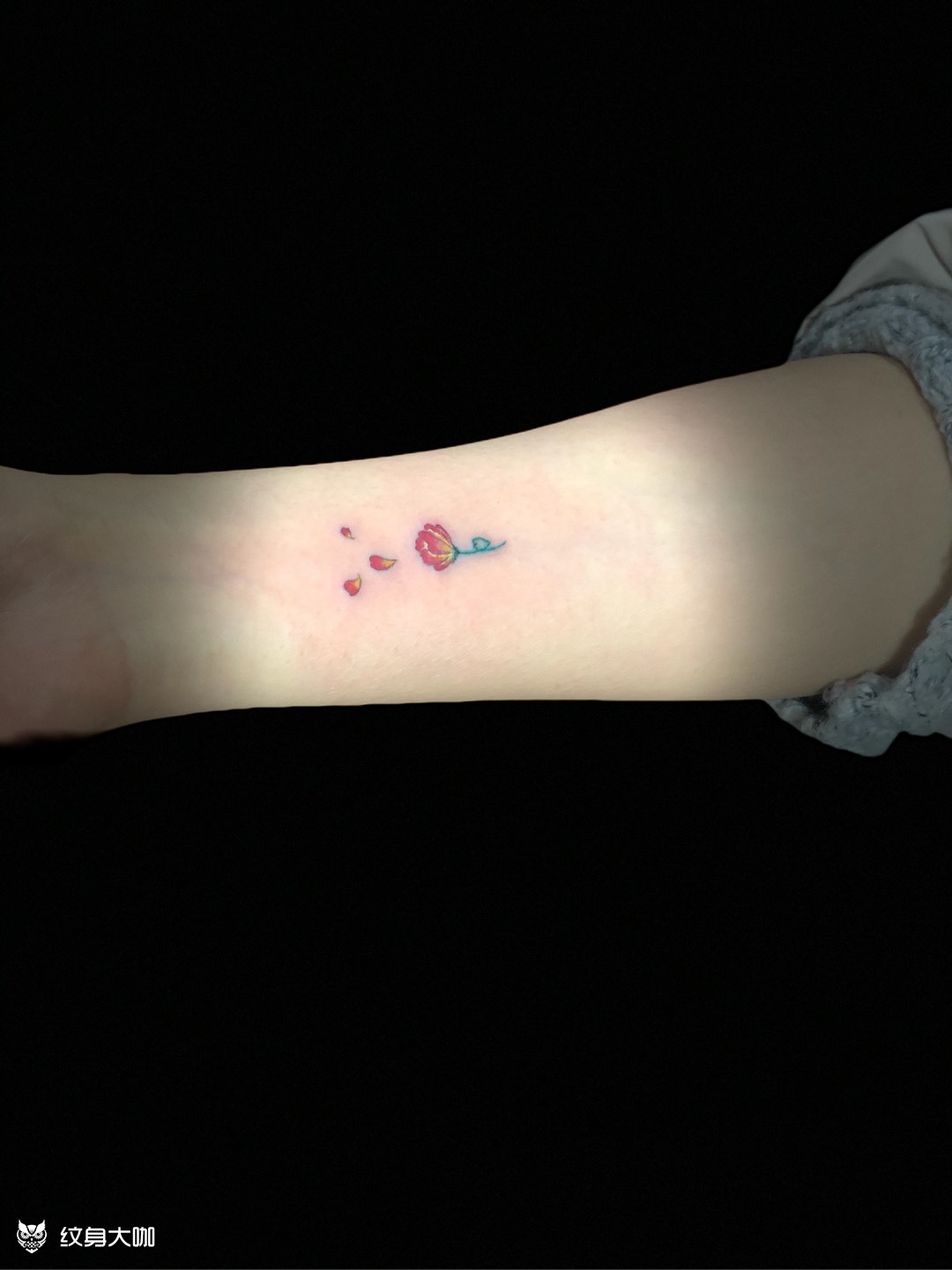 三厘米单针小花花_纹身图案手稿图片_蛋的纹身作品集