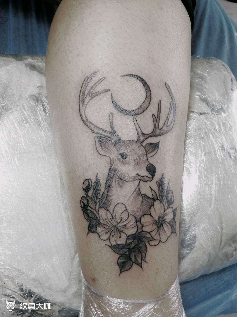 鹿_纹身图案手稿图片_骑不快的小马的纹身作品集
