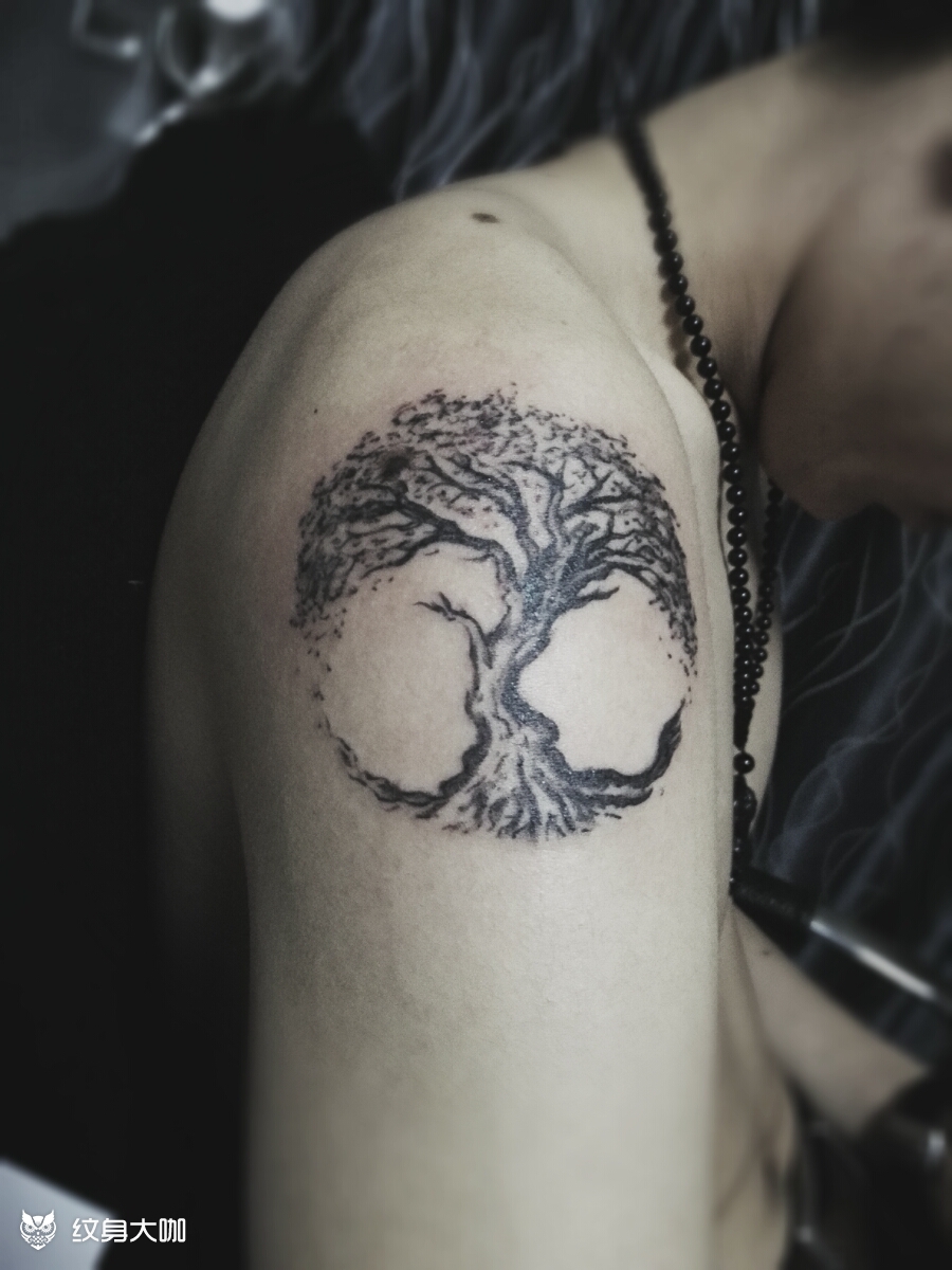 生命树_纹身图案手稿图片_雕衍的纹身作品集