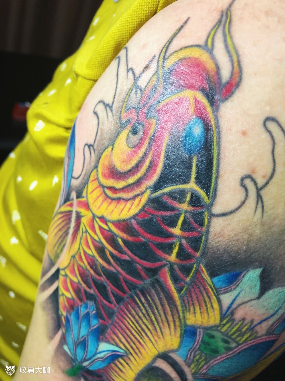 大臂鲤鱼_纹身图案手稿图片_伊依的纹身作品集