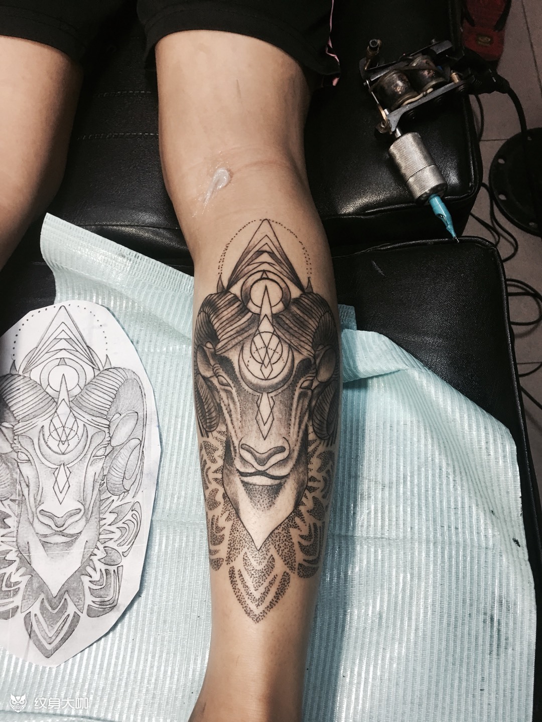 点刺羊头_纹身图案手稿图片_九青龙的纹身作品集