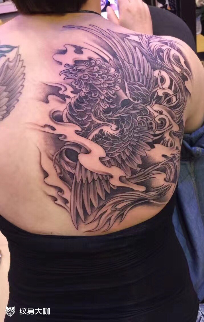 凤凰_纹身图案手稿图片_刘来党的纹身作品集