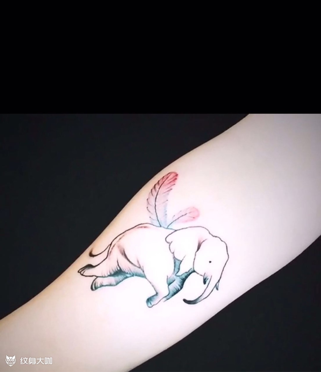 小飞象98_纹身图案手稿图片_吴文森的纹身作品集