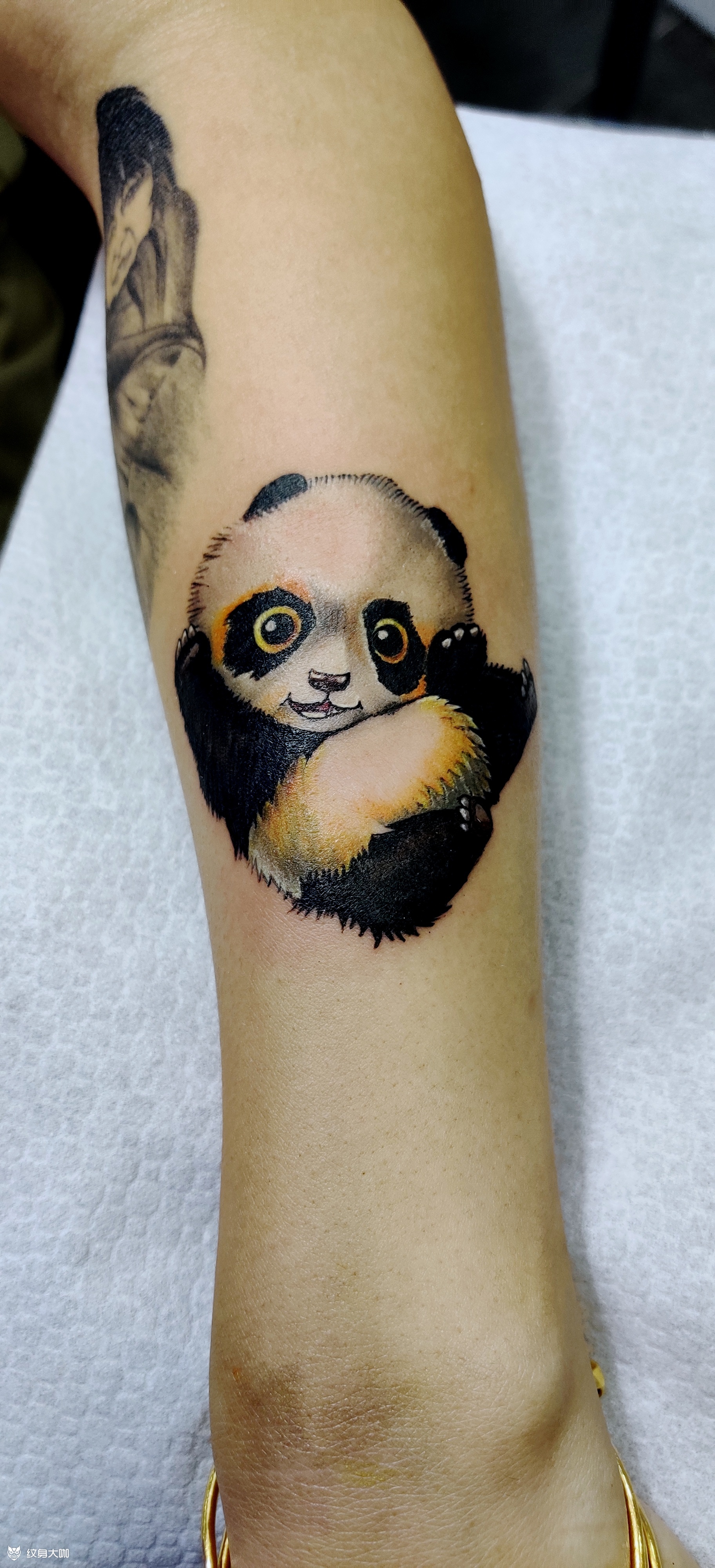 手臂可爱熊猫_纹身图案手稿图片_杰～～～的纹身作品集
