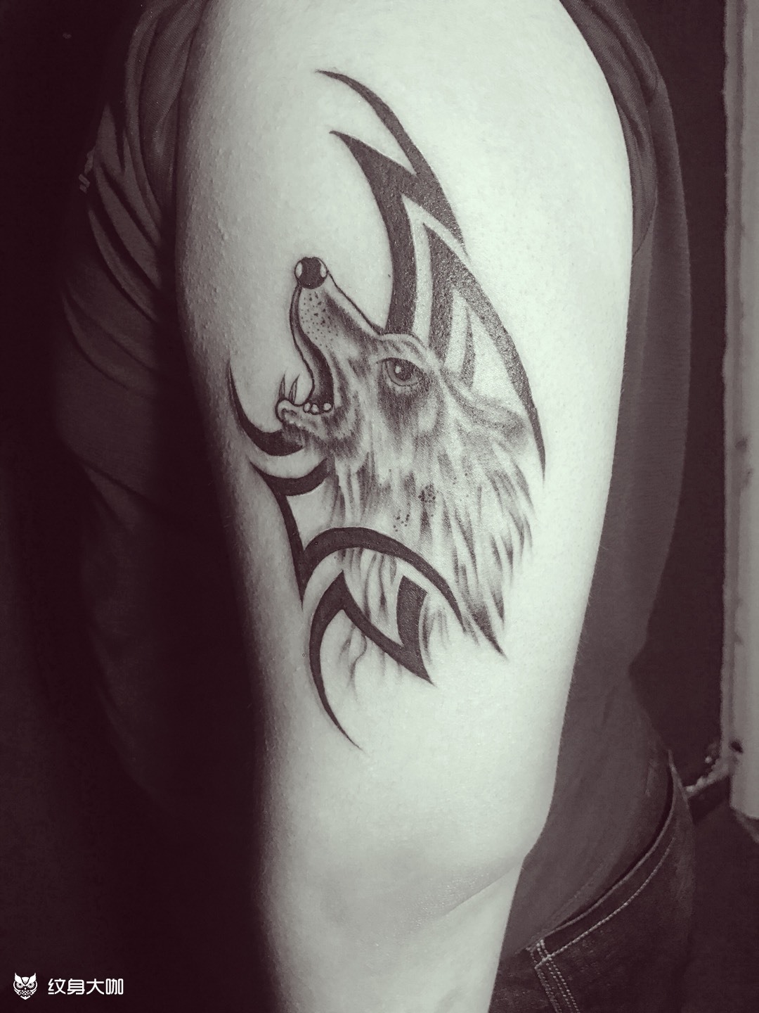 狼图腾_纹身图案手稿图片_李波的纹身作品集