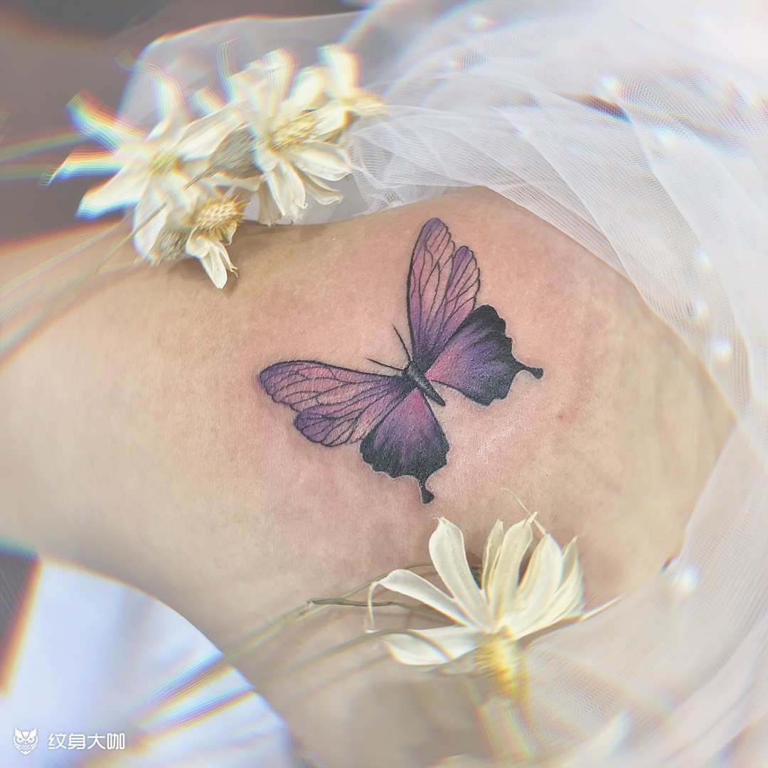 蝴蝶_纹身图案手稿图片_胡玲玲的纹身作品集