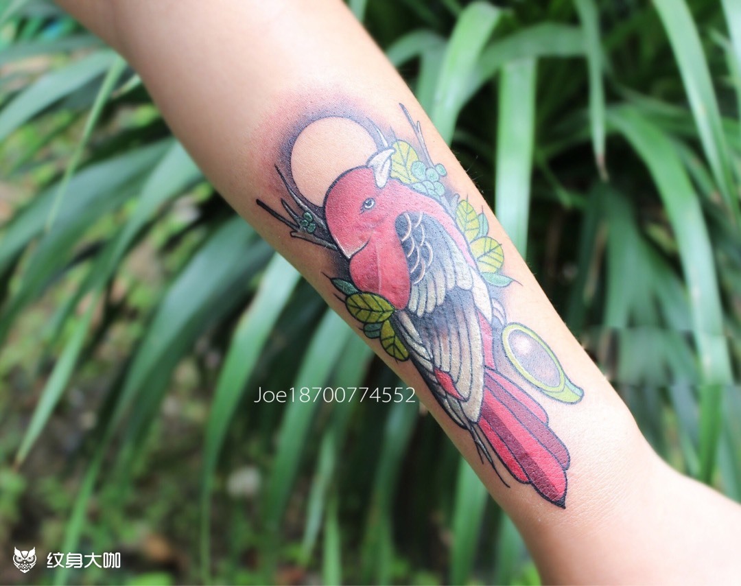 小鸟school_纹身图案手稿图片_joe的纹身作品集