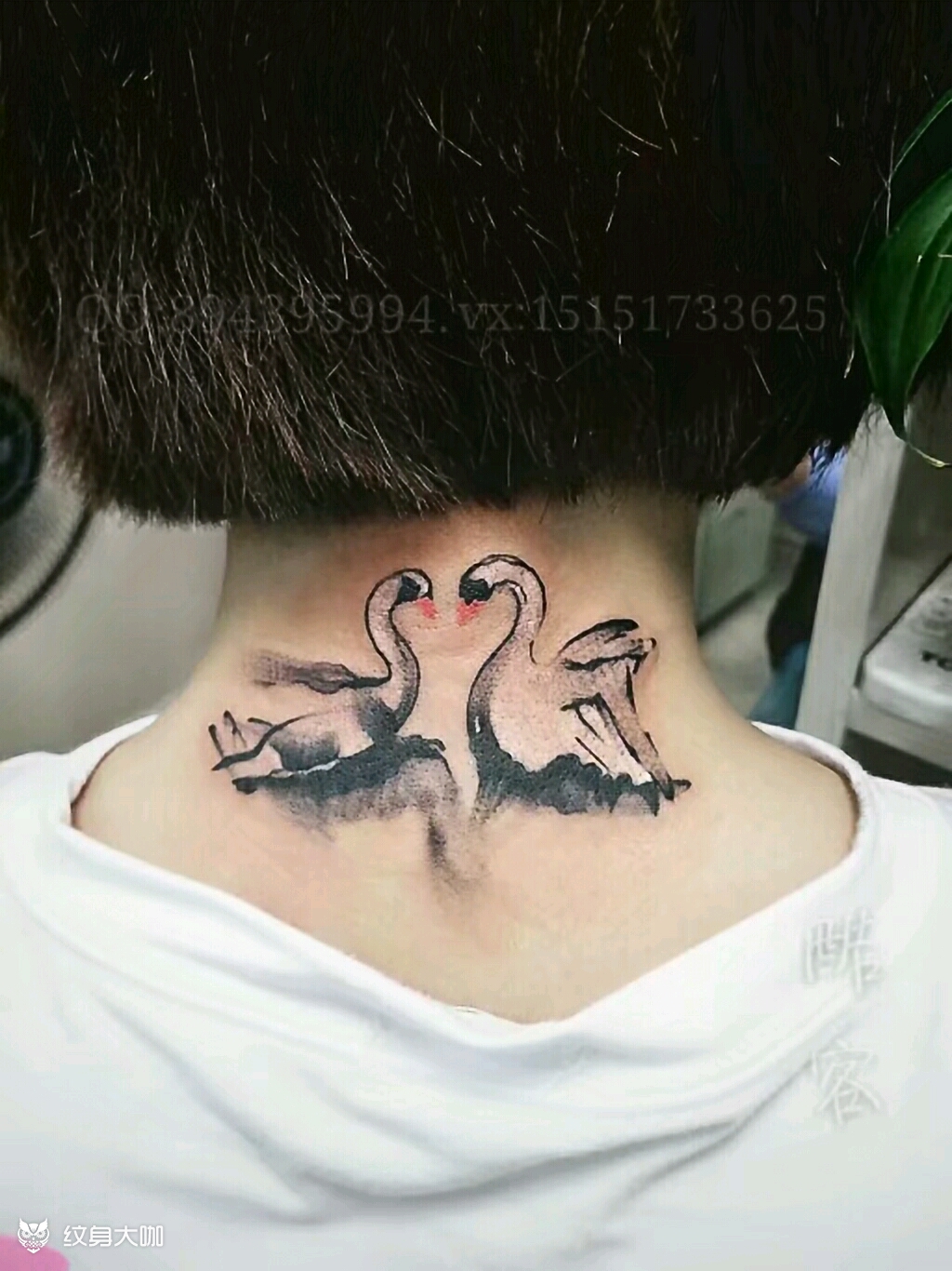 天鹅_纹身图案手稿图片_张晓会的纹身作品集