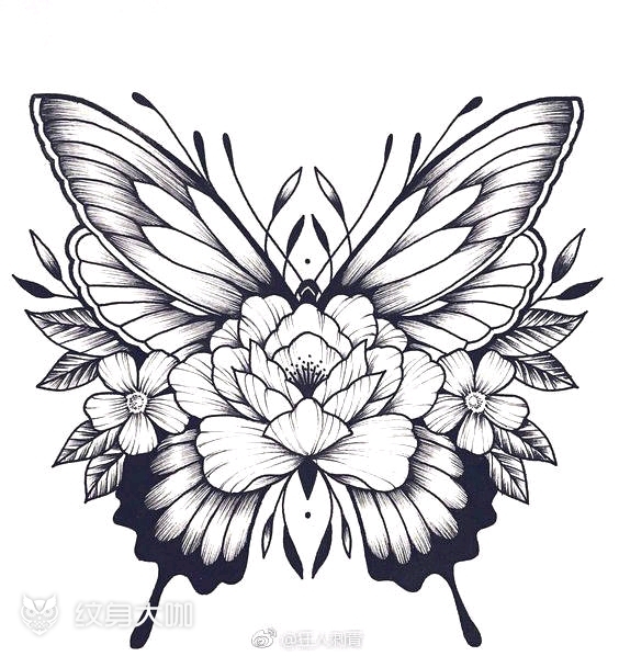蝴蝶纹身手稿黑白图片