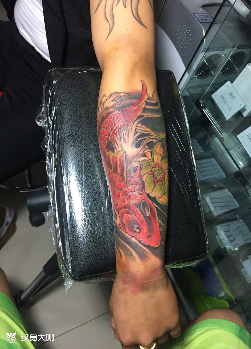 红鲤鱼_纹身图案手稿图片_李晓龙的纹身作品集