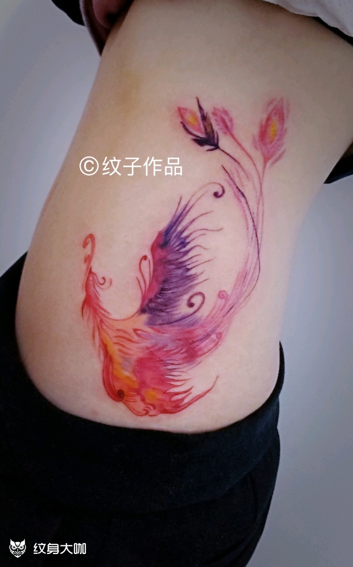 腰部凤凰_纹身图案手稿图片_马莉的纹身作品集