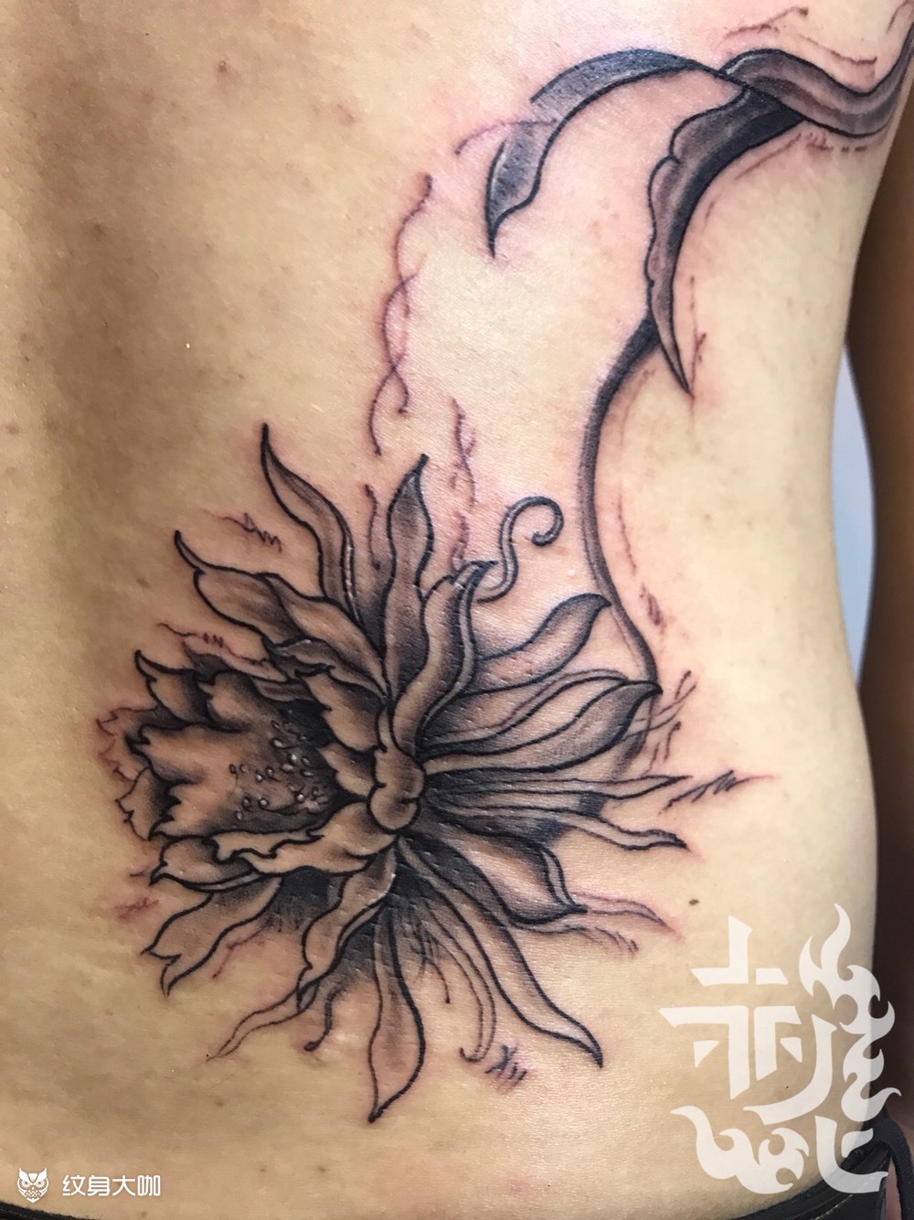 昙花_纹身图案手稿图片_博千的纹身作品集