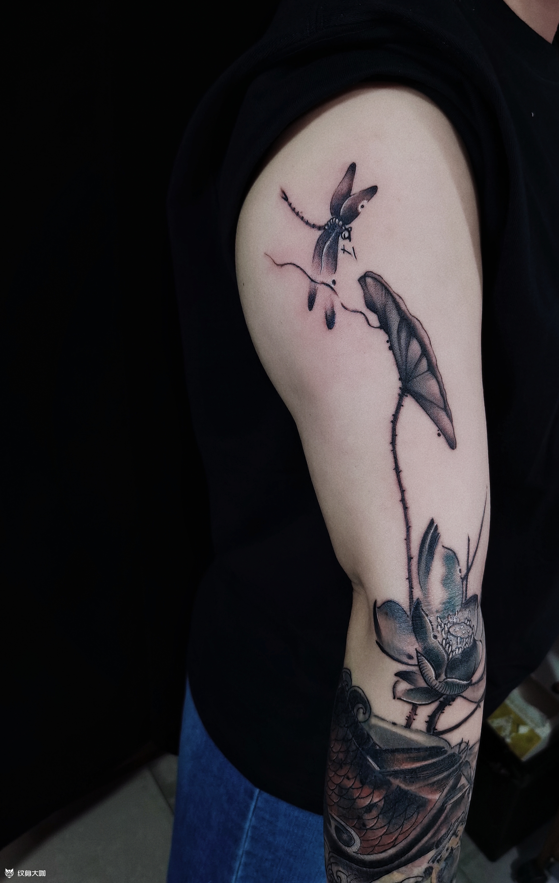 水墨莲年有鱼,荷香千里