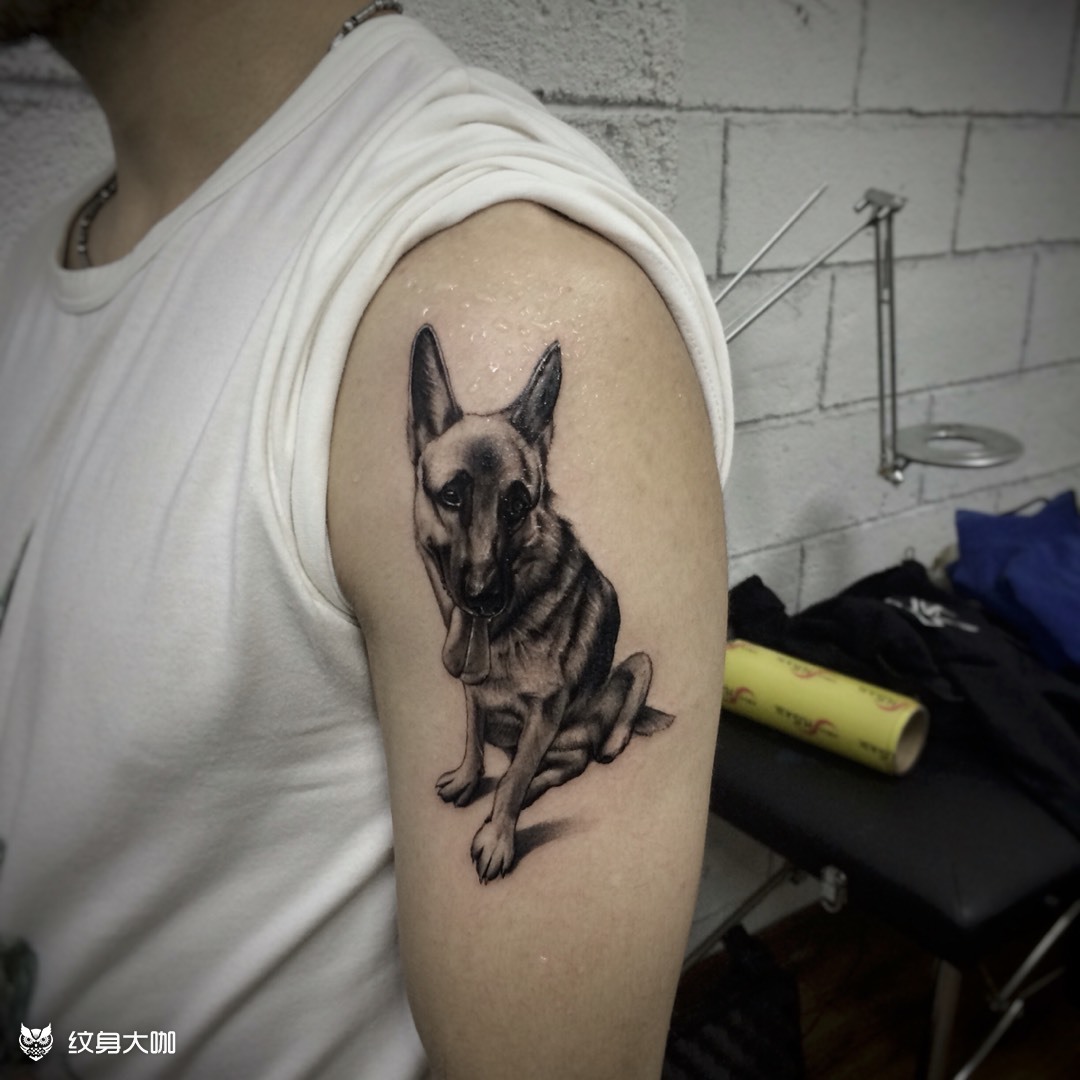 小狗头像_纹身图案手稿图片_隐于野-小智的纹身作品集