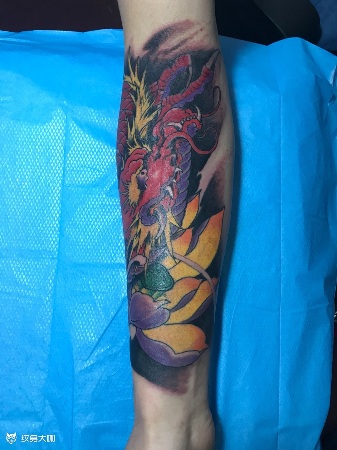 小臂龙94_纹身图案手稿图片_阿彪的纹身作品集