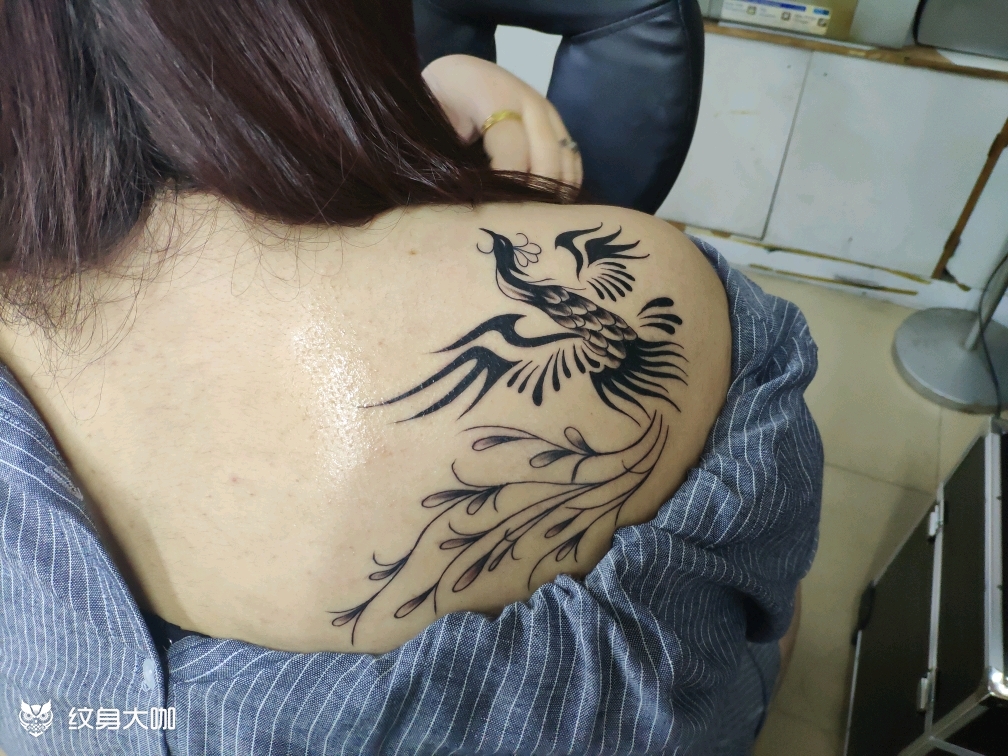 蔡依林的凤凰纹身图片