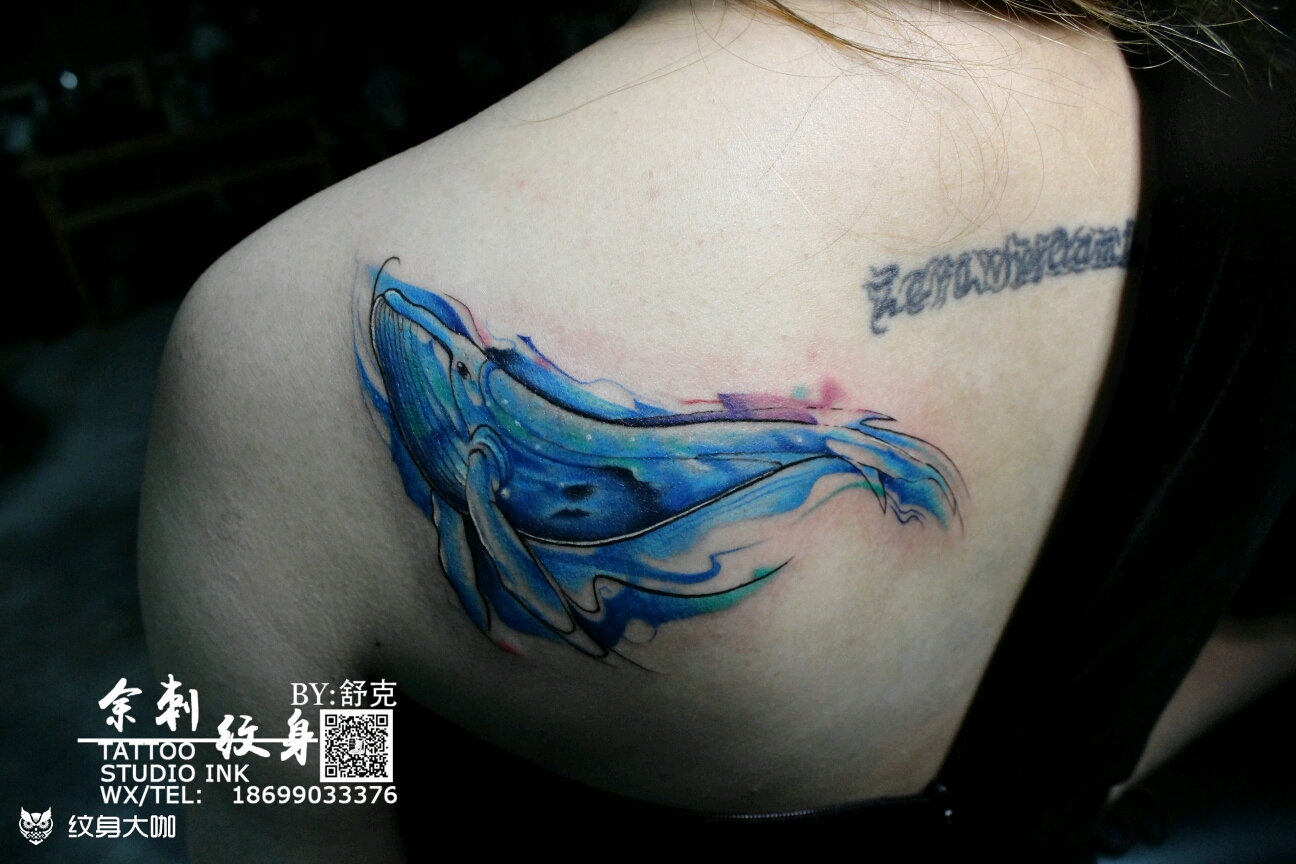 水彩鲸鱼_纹身图案手稿图片_舒克的纹身作品集