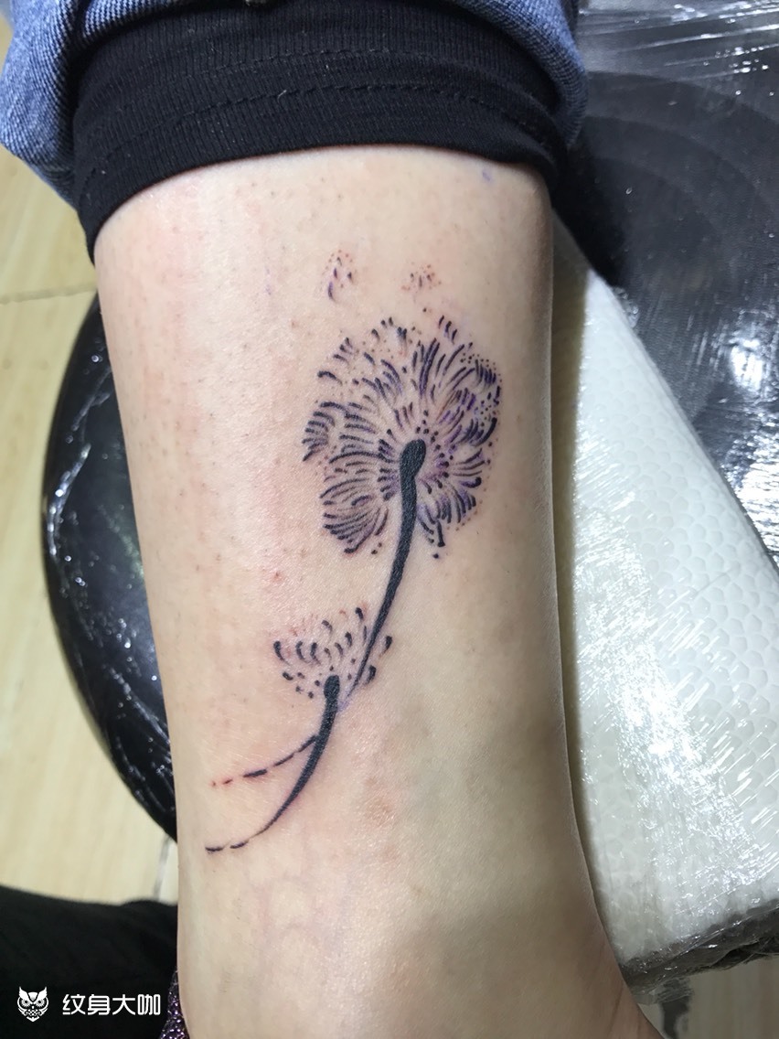 蒲公英_纹身图案手稿图片_屈杨的纹身作品集