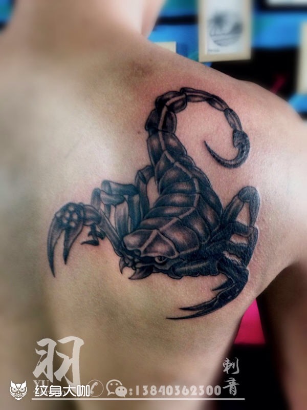 蝎子_纹身图案手稿图片_崔羽的纹身作品集