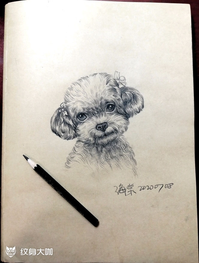 小泰迪狗狗素描纹身手稿