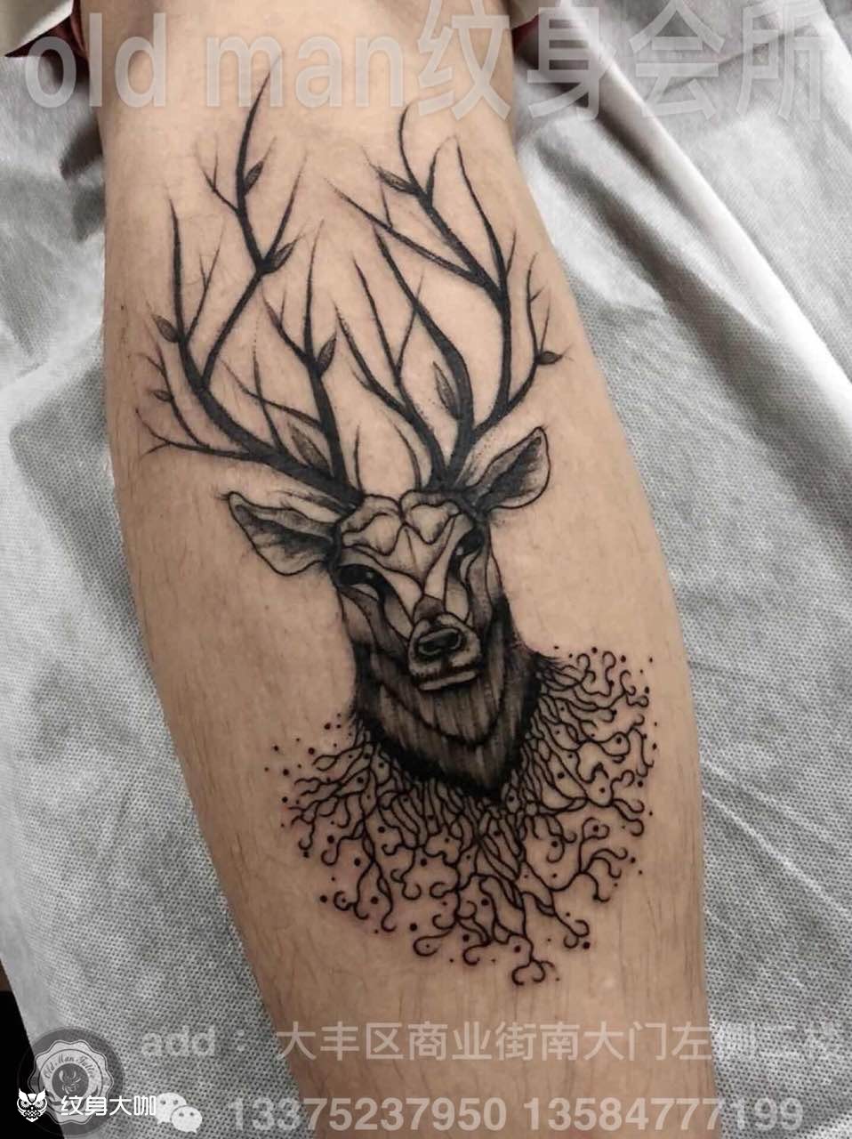 鹿04_纹身图案手稿图片_郑刚的纹身作品集