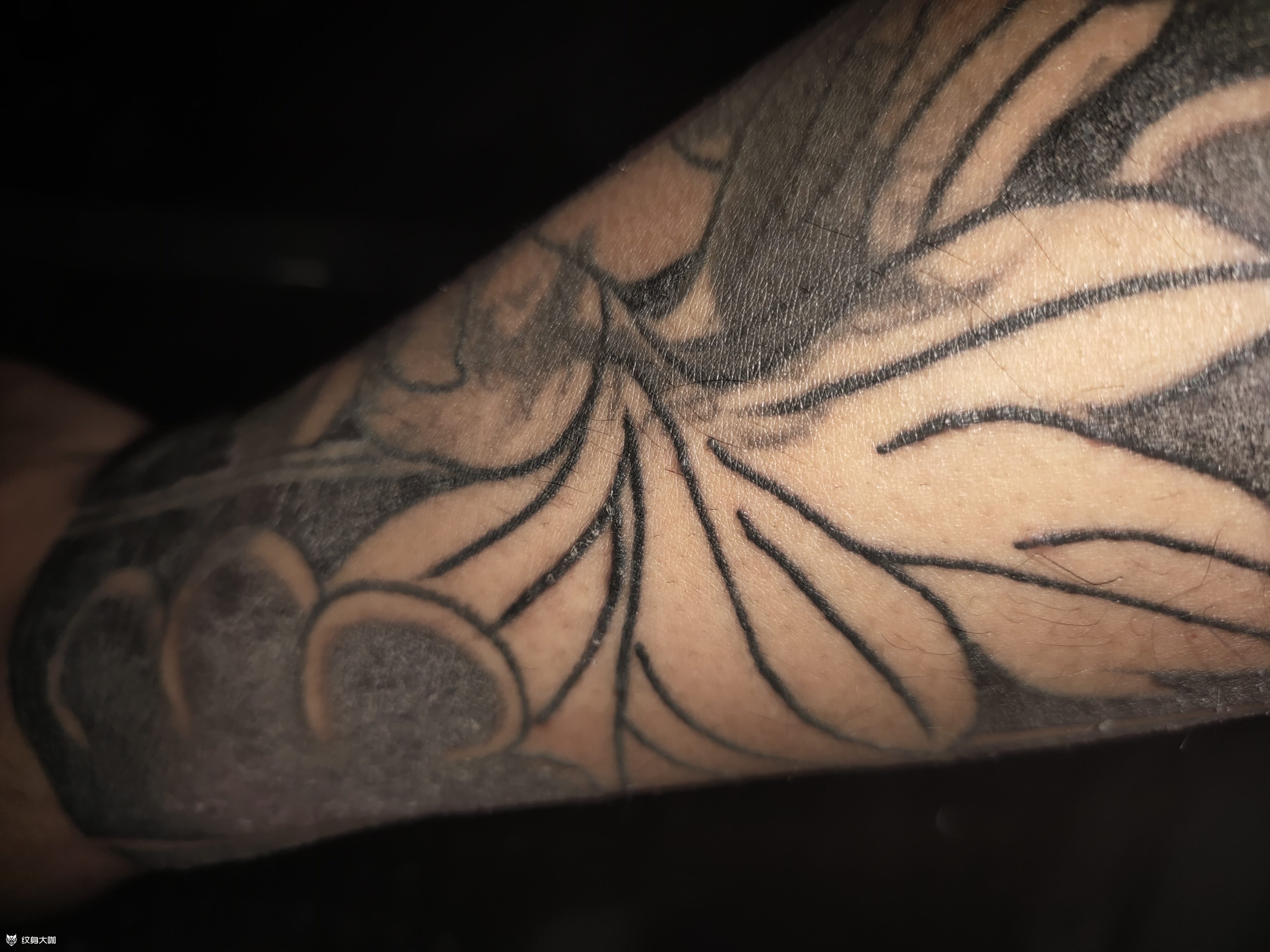 线条有点增生 刚纹没多久 _纹身吧社区 - 纹身大咖