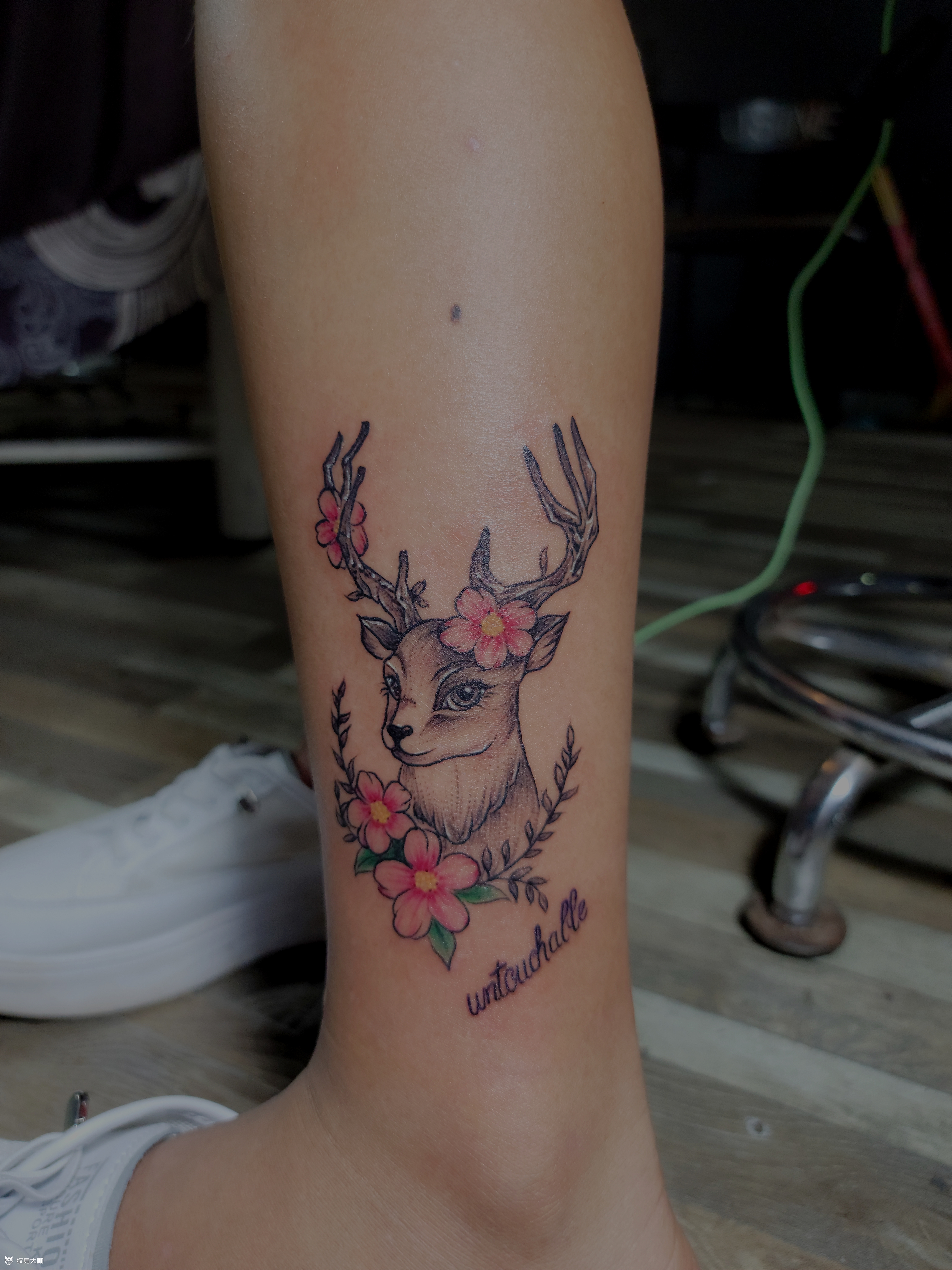 小鹿_纹身图案手稿图片_苏日星的纹身作品集