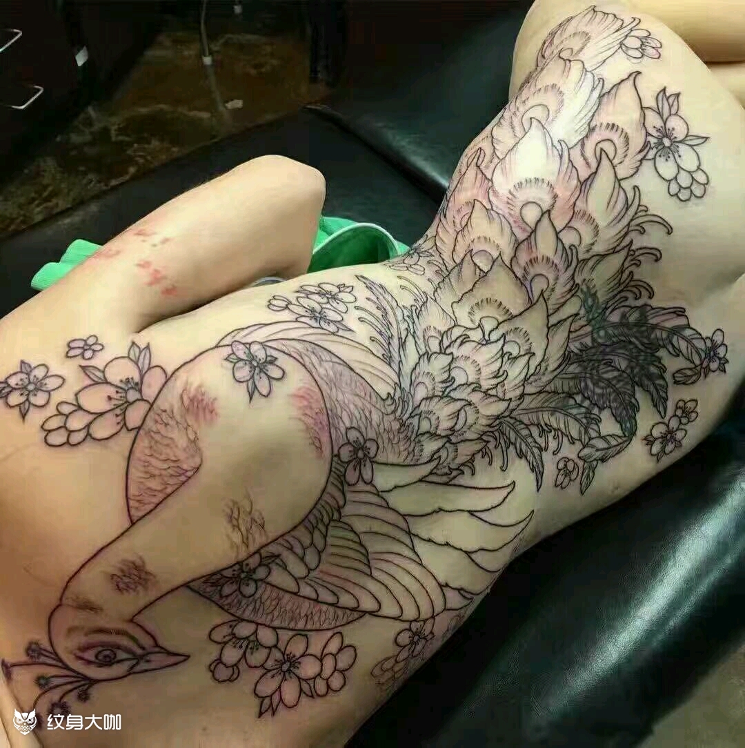 孔雀_纹身图案手稿图片_穆峰的纹身作品集