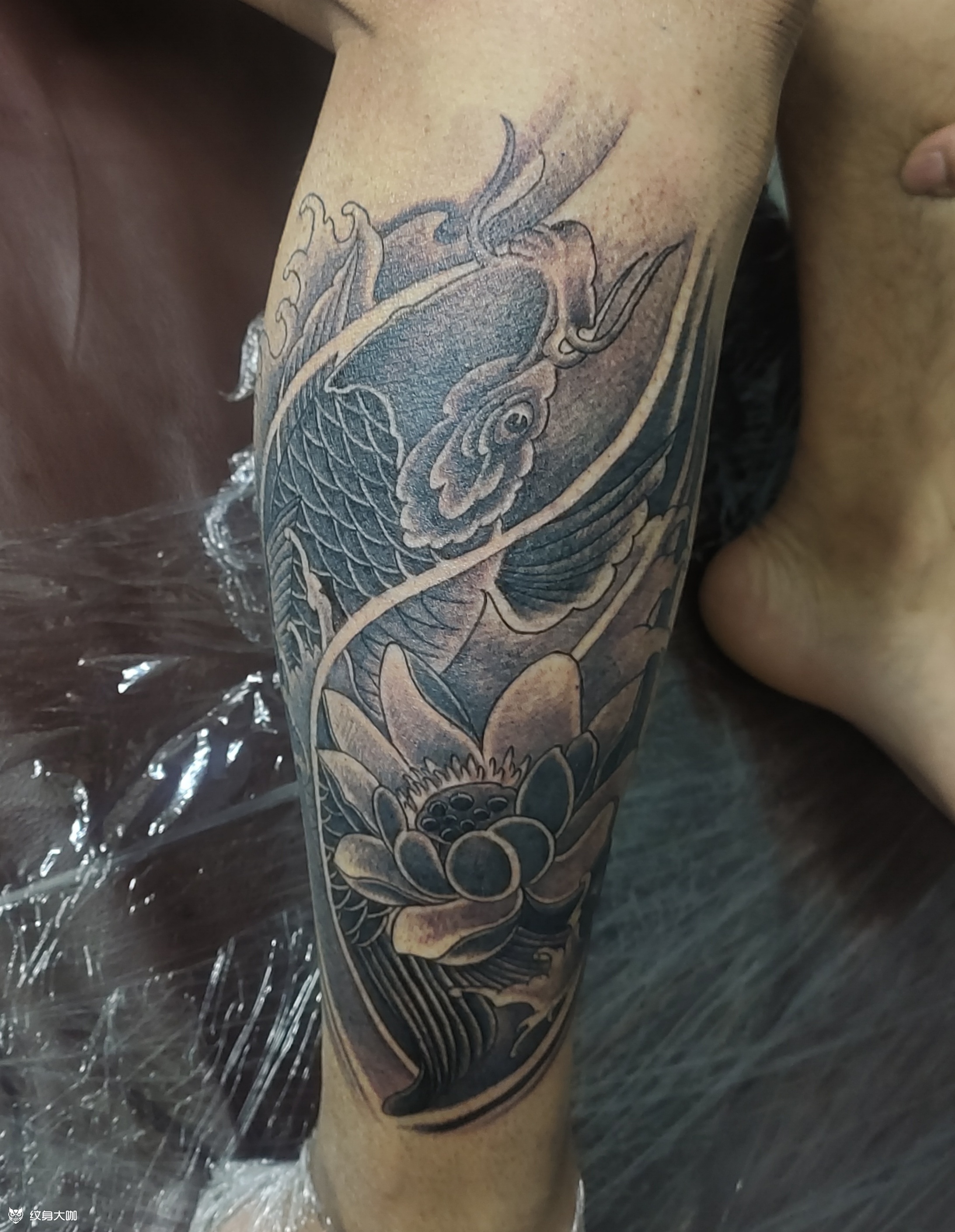 小腿鲤鱼小腿鲤鱼-5张而已_纹身吧社区 - 纹身大咖