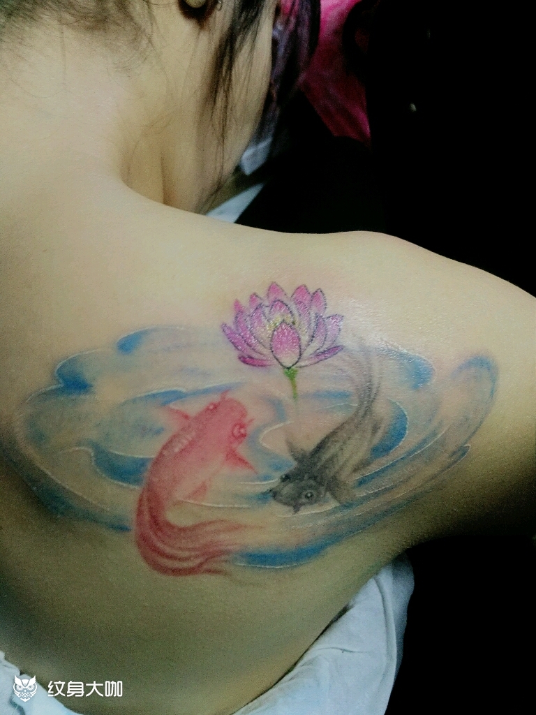 双鱼戏水_纹身图案手稿图片_张云鹏的纹身作品集