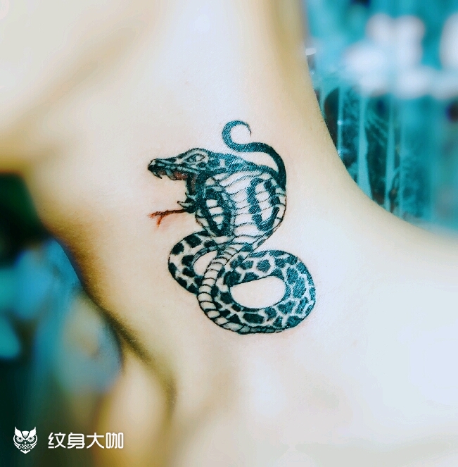 五毒之眼镜蛇王~嗞嗞嗞……_纹身图案手稿图片_阿双的纹身作品集