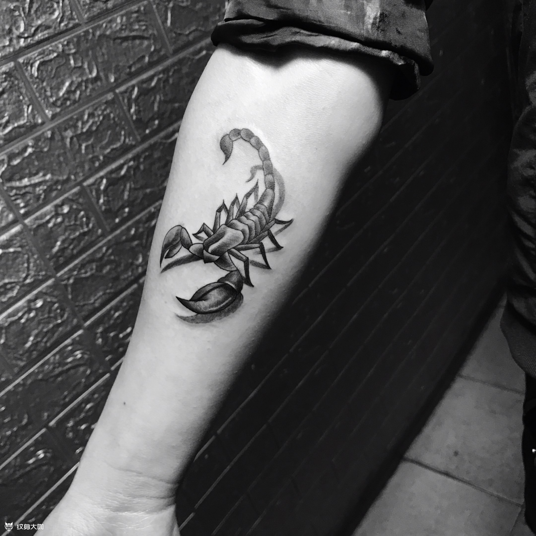 蝎子_纹身图案手稿图片_扎人使我快乐的纹身作品集