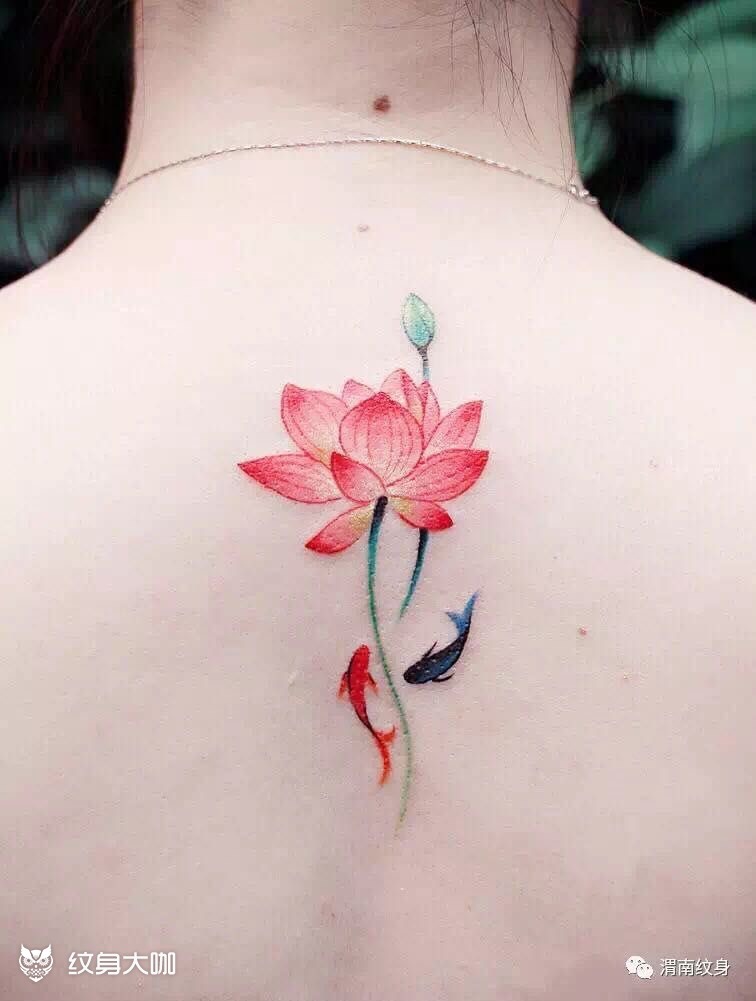 荷花_纹身图案手稿图片_小明的纹身作品集