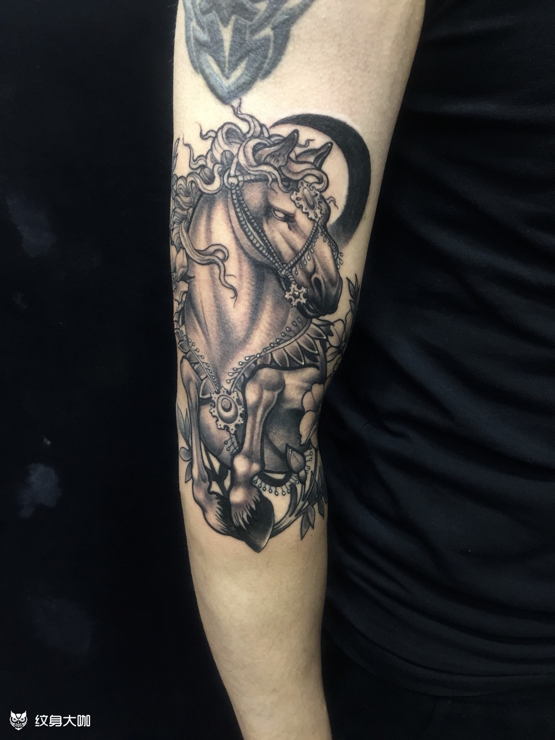 欧美 马_纹身图案手稿图片_老铁的纹身作品集