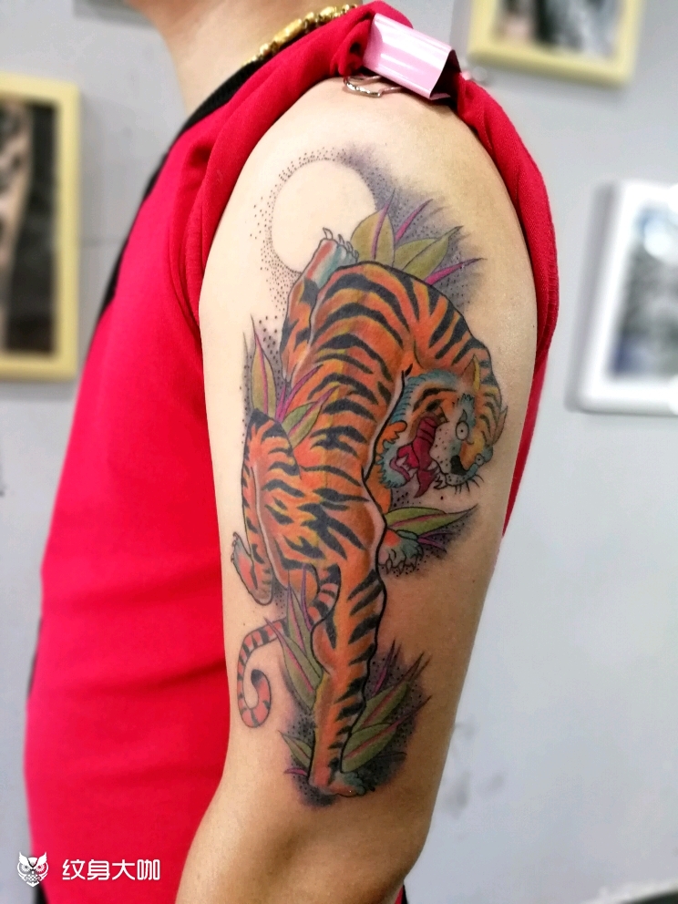 彩色老虎_纹身图案手稿图片_劲松的纹身作品集