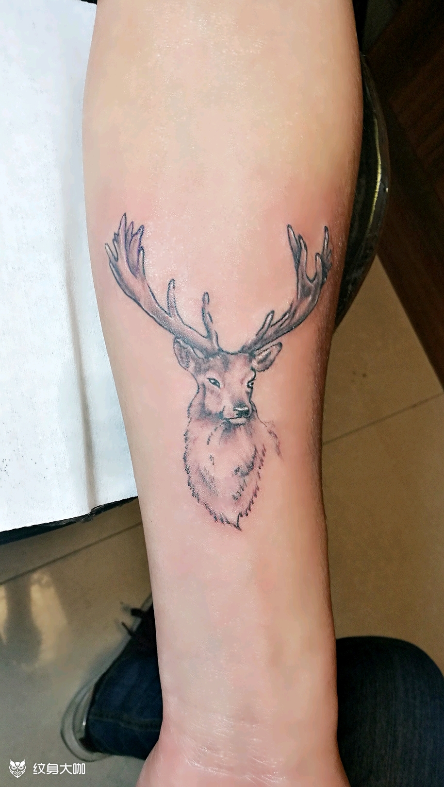 麋鹿_纹身图案手稿图片_王家伟的纹身作品集