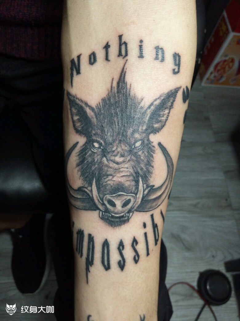 野猪_纹身图案手稿图片_李湘的纹身作品集